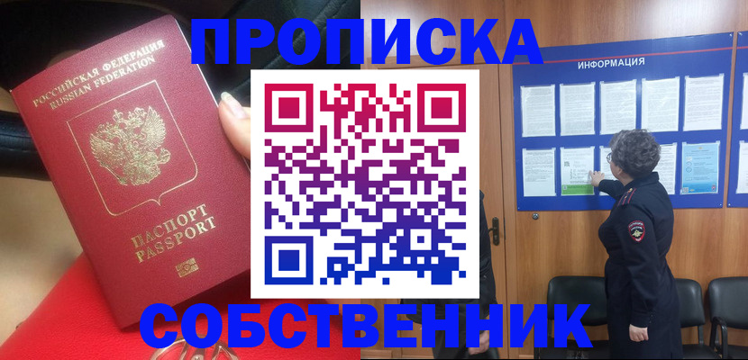 прописка для школы в Елизово